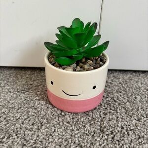 3/$25 Cute Pink and White Smiley Face Planter with Green Succulent